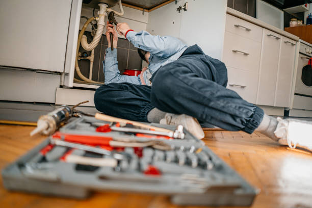 Best Emergency Plumbing Repair  in Cicero, IN
