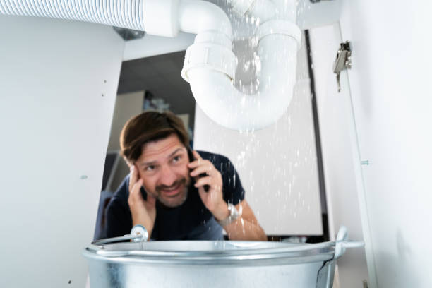 Best Water Leak Repair  in Cicero, IN