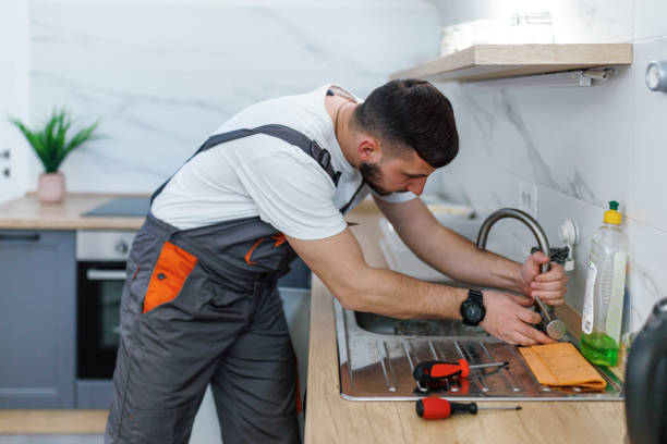 Best Best Plumbers Near Me  in Cicero, IN