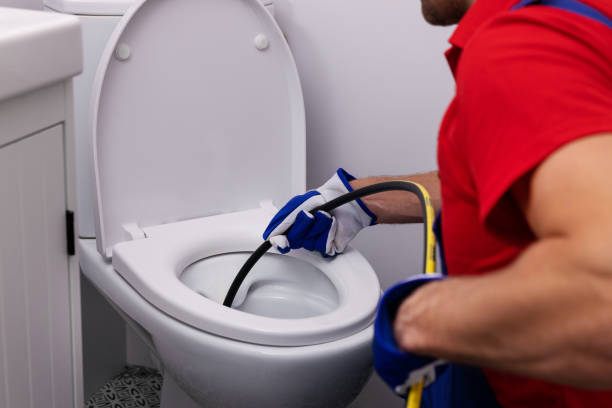 Best Clogged Drain Plumber  in Cicero, IN