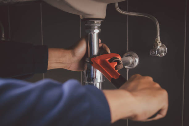 Best Plumbing Repair Near Me  in Cicero, IN